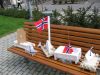 060517_Konkurranse_paa_Stream_skipene.JPG